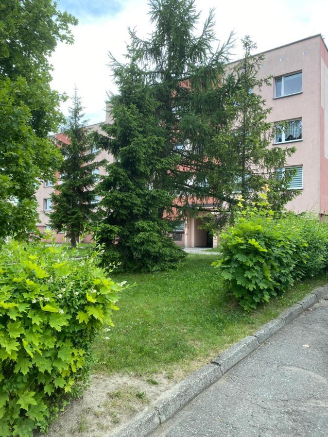 Zb Apartment Beige Piekary Slaskie Bagian luar foto